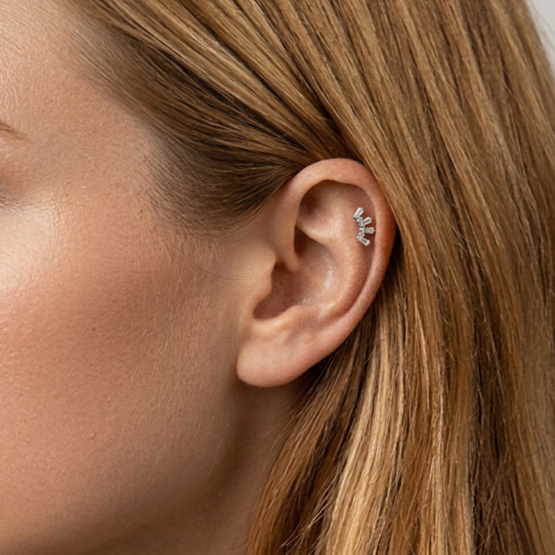 1 Pcs ASTM Titanium Helix Pier - đánh giá và giá Helix Cartilage Ring