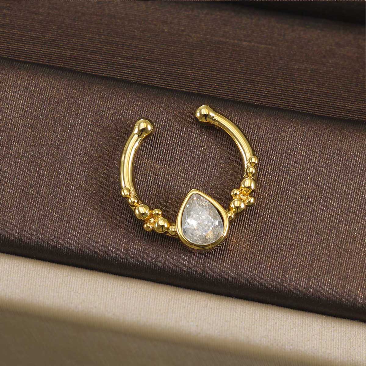 316L Stainless Steel Septum Cl - đánh giá và giá Helix Cartilage Ring