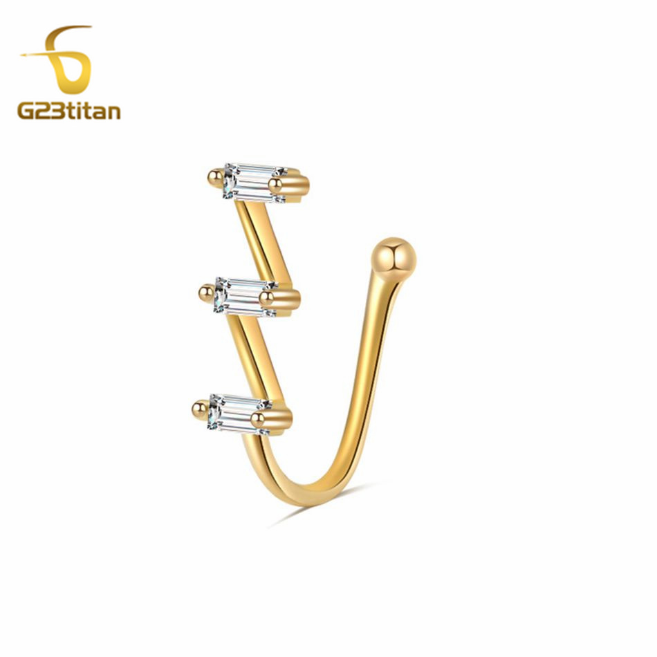 1pc Fake Nose Piercing Ring Wo - đánh giá và giá Helix Cartilage Ring