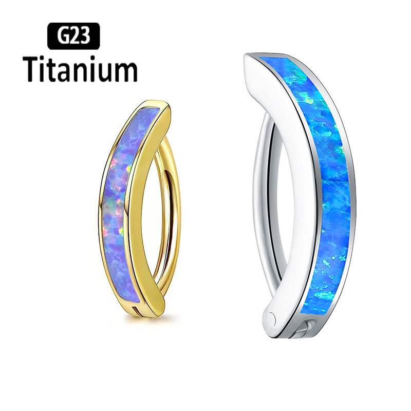 1PC 14G Implant Grade G23 Tita - đánh giá và giá Body Jewelry Implant Grade