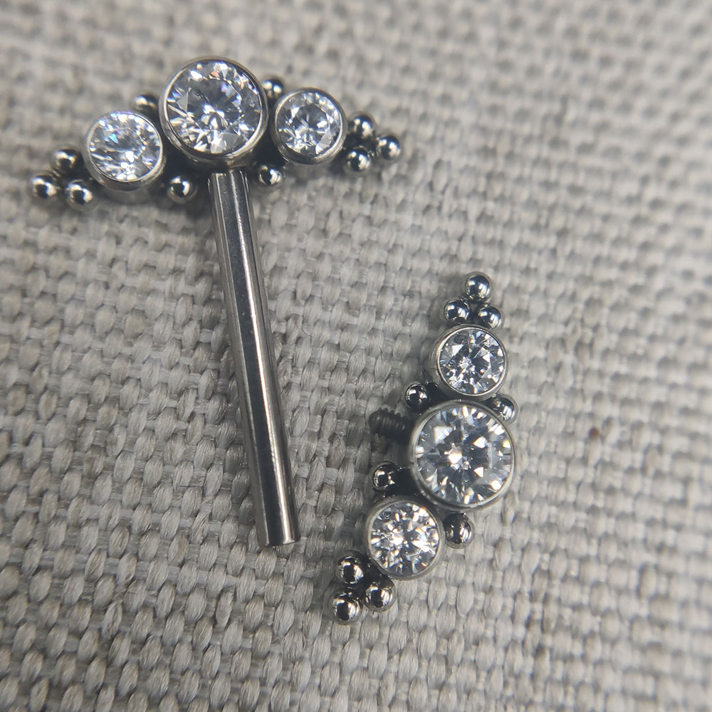 14G Cấy Ghép Titan Cao Cấp AST - đánh giá và giá Body Jewelry Implant Grade